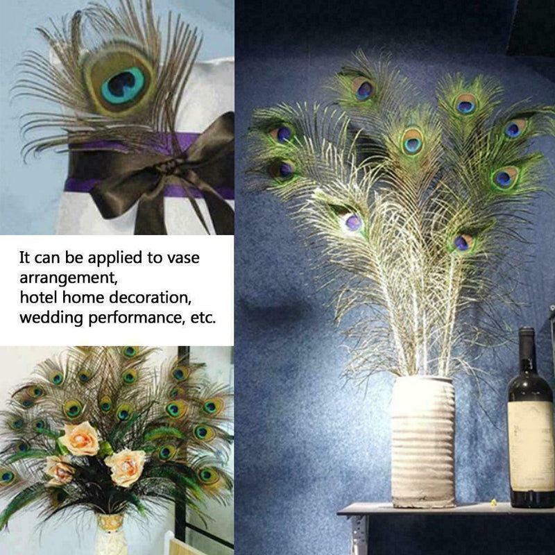 10pcs Real Natural Peacock Tail Eyes Feathers Wedding Party Decoration Fest K9S1