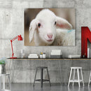 Full Drill Animal Diamond Painting Mosaic Rhinestone Handwork (LD496 Sheep)