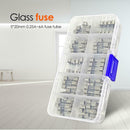 100pcs/set 5x20mm Flat-headed Fuse Assorted Kits Quick Blow Glass Tube Fuse