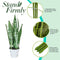 2 Pack Plant Support Cage Metal Rust Resistant Garden Plant Support Ring Pl