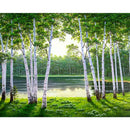 Painting By Numbers Kit DIY Woods Hand Painted Canvas Oil Art Picture Craft