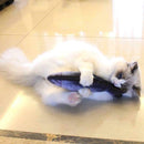 Plush Fish Shape Pet Cat Kitten Teaser Plaything Catnip Toys Pillow(20cm)