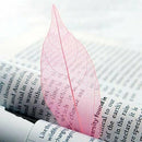 50Pcs Natural brier Leaves Card Scrapbook - Pink L2Q9