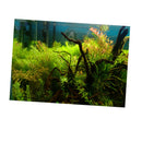 Aquarium Fish Tank Background Poster Grass Landscape Decor 61x30cm