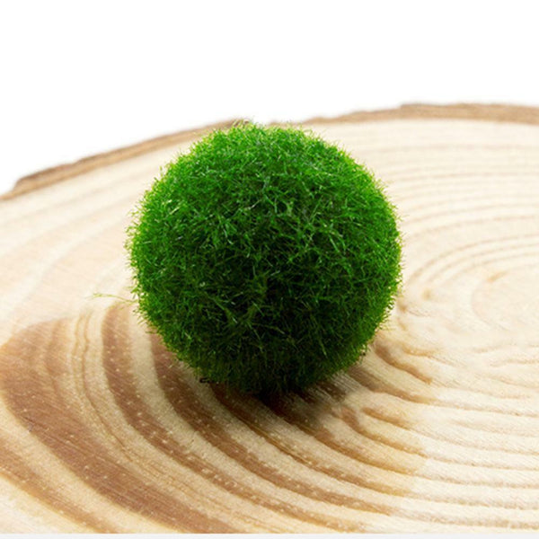 4cm Aquarium  Live aquarium Green Algae Ball plant Fish tank betta sea Decro