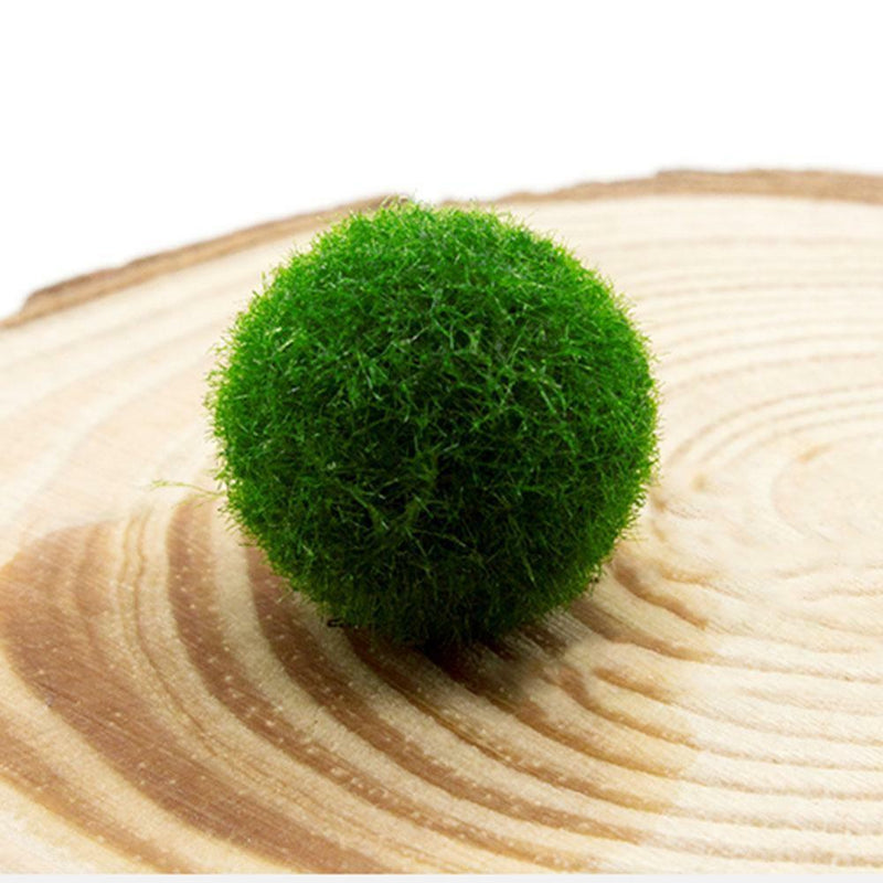 4cm Aquarium  Live aquarium Green Algae Ball plant Fish tank betta sea Decro