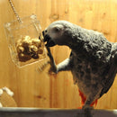 Parrot Bird Cage Feeder Hang Foraging Toys Pet Treat Hunt Macaw Cockatoo Budgie~