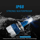 2Pcs Mi2 Series 6000K H8/ H9/ H11 Auto M2 Car Headlight Bulbs Csp Car Bulbs Z5V6