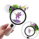 30x magnifying glass enlargement with LED light lamp jeweler magnifying gl BX