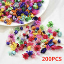 200Pcs Natural Dried Flower Head Daisy Glass Cover Nail Art Epoxy DIY Hand Craft