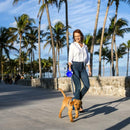 Car Seat Belts Retractable Dog Leash Pet Collar Lead Traction Rope Heavy Duty