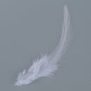 50 St. dyed rooster feathers for decoration 10 -15 cm - white S5N6