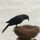 2PCS Artificial Realistic Raven Magpie Birds Garden Tree Decor Photo Props