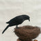2PCS Artificial Realistic Raven Magpie Birds Garden Tree Decor Photo Props