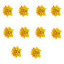 10Pcs Artificial Plastic Succulent Echeveria Flower DIY Microlandscape Decor