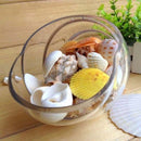 Aquarium Beach Nautical Shell Approx Sea Shell Photography Props FishTank W5C6