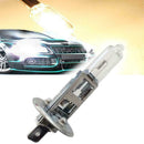 H1 HALOGEN HEADLAMP BULB 12V 55W P14.5s High Quality Free Sale  K1R V3O7