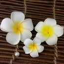 3 Pcs Hawaiian Plumeria Flower Headpiece Hairpin Barrette Hair Clip Accesso