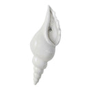 Porcelain Spiral Shell Wall Flower Vase Hydroponics Holder, Wall Mounted