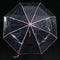 Transparent Umbrella Automatic Umbrella Rain Women Men Sun Rain Auto Umbrel B2Z1