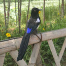 Artificial Decorative Bird Realistic Magpie for Home Garden Yard Decoration