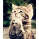 Naughty Kitten Cat 5D Diamond DIY Painting Craft Home Decor