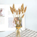 Dried Flowers Bouquet Rabbit Tail Grass Real Flower Weddings Home Decors New 60pcs