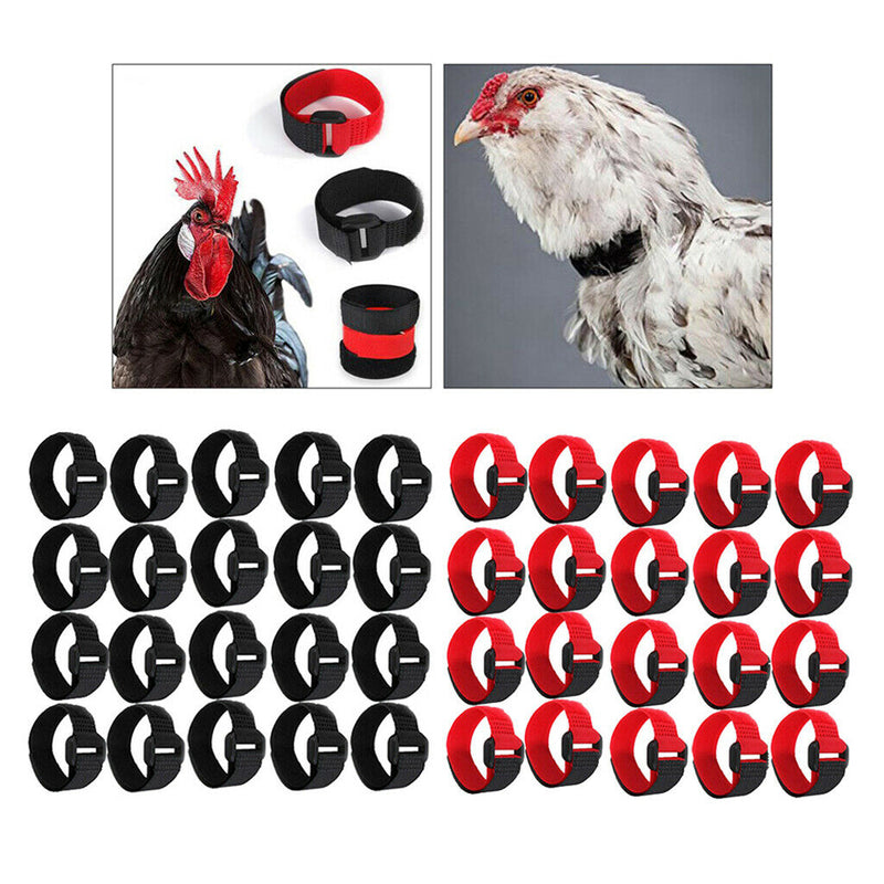 40xAnti Crow Rooster Collar Anti Crow Prevent Rooster from Screaming for Rooster