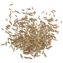 1000 stk/pack Rasensamen SunGrass Rasen Pro Grassamen I0O8 Saatg Rasen I8E9