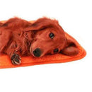 Superior Coral Soft Warm Pet Puppy Dog Cat Fleece Blanket Quilt Bed Cushion Pad^