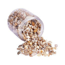 About 1300-1500 Tiny Sea Shell Ocean Beach Spiral Seashells Craft Charms 7-