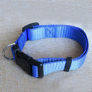 Adjustable Nylon Dog Puppy Collar with Buckle and Clip for Lead (M, Blue)