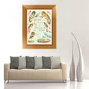 5D Diamond Embroidery Feather Painting Cross Stitch DIY Craft Home Decor