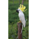 Pair Artificial Realistic Woodland Birds Garden Weding Party Home Decor