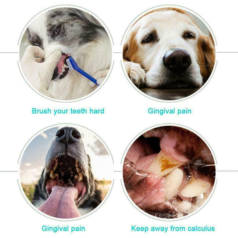 Pet Breath Freshener Spray Dog Teeth Cleaner Dog Cat Oral Dental Healthy US X9A3