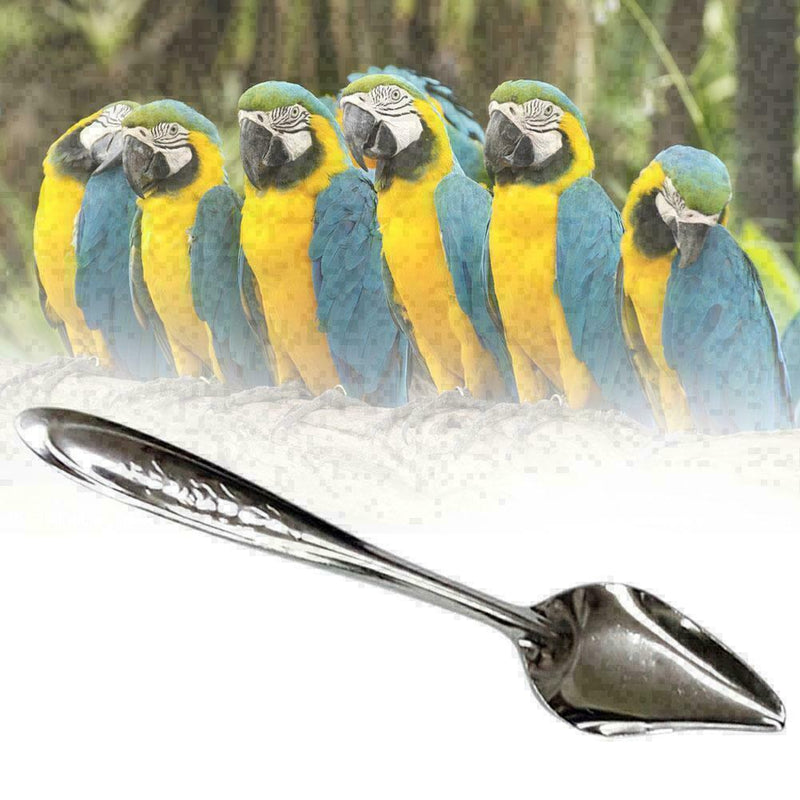 1pcs Stainless Steel Pet .Feeding Tool Water Milk Spoon For Bird Parrot Sup R1F2