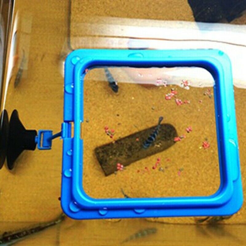 Square fish food food feeding tool for Aquarium
