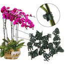 20Pcs Plant Fix Clips Orchid Stem Vine Support Flowers Tied Branch Clamping JCï¼D