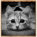 5D DIY Full Drill Diamond Painting Cross Stitch Embroidery Home Art (Cat07)