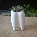 Tooth Shape White Ceramic Flower Pot Modern Design Teeth Desktop Plan Decor A5M6