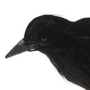 Simulate Raven Feather Artificial Crow Prop Halloween Bird Realistic Pa OZ