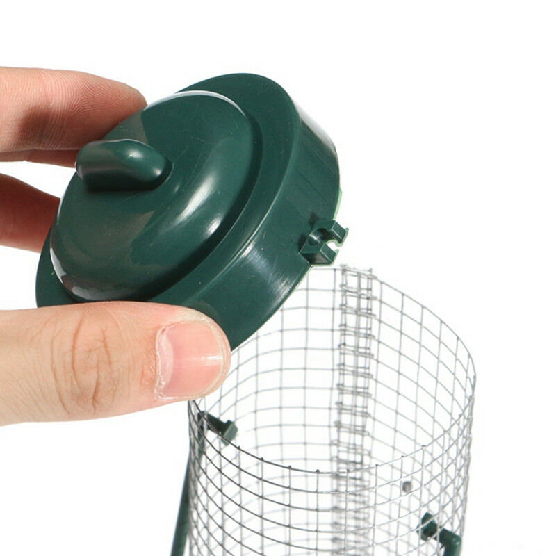 Garden Clear Feeding Hanging Feeder Hanger Perch Squirrel Peanut Wild Bird Seed