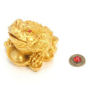 Chinese Feng Shui Money Lucky Fortune Wealth  Toad Coin Home Decoration HomeO2Q2