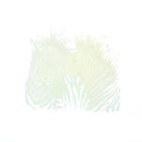 Color Zebra Iron On Patches Washable Heat Transfer Stickers Clothes AppliqueME