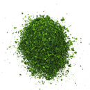 20g/pack Diorama Scenery Grass Material - Dark Green