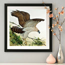 Animal 5D DIY Full Round Drill Diamond Painting Art Cross Stitch (A603)