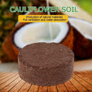 Reptile Coconut Fiber Substrate Bricks Natural Beddings soil New Nutrient Y5W9