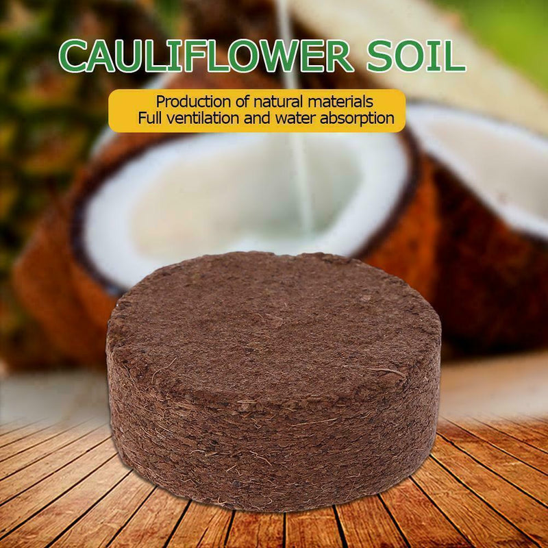 Reptile Coconut Fiber Substrate Bricks Natural Beddings soil New Nutrient Y5W9