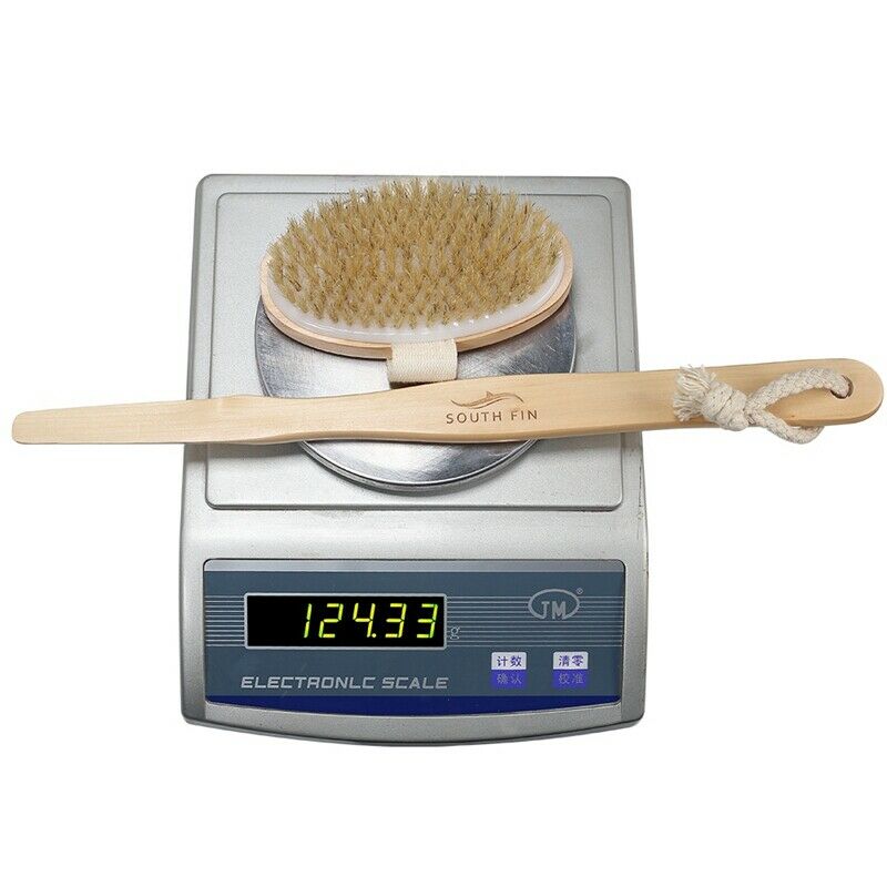 Blue Zoo South Fin Bath Body Brush Boar Bristles Exfoliating Body Massager  R3M5