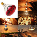 4Pcs 250W 220V E27 Basking Heat Lamp Bulb for Reptiles Goose Poultry Pig